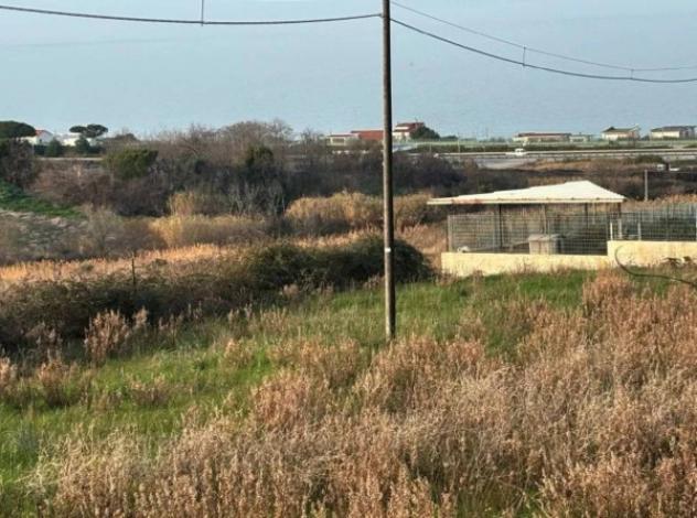 Immobile in asta di 2000 m² in vendita a Termoli - Foto 3