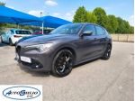 ALFA ROMEO Stelvio 2.2 Turbodiesel 160 CV AT8 RWD Business rif. 23831740