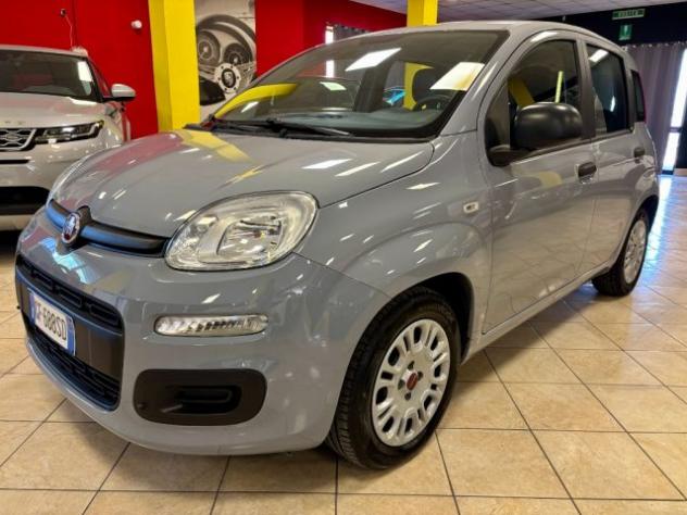 FIAT Panda 1.0 Hybrid PREZZO + IVA rif. 24182576 - Foto 3