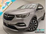 Opel Grandland X 1.6 phev Design Line awd auto