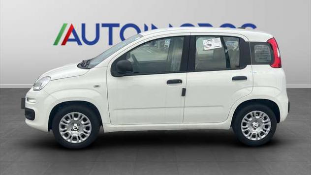 FIAT Panda 1.0 FireFly Hybrid Icon - Foto 2