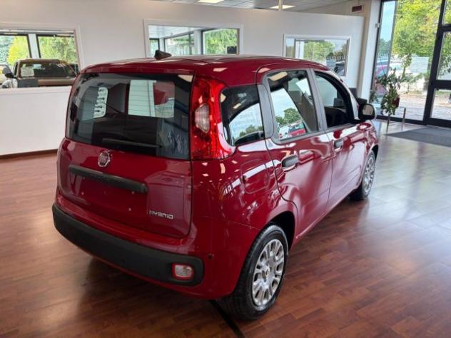FIAT Panda 1.0 FireFly 70cv S&S Hybrid ICON KMZERO rif. 24047026 - Foto 4