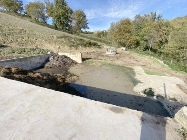 Immobile in asta di 131 m² in vendita a Pergola - Foto 11