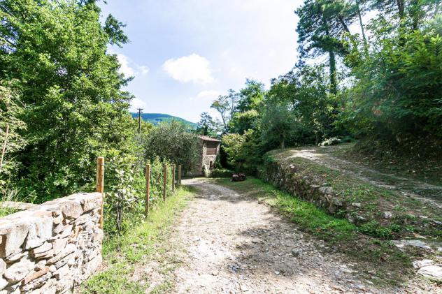 Rustico in vendita a Buti 300 mq Rif: 915372 - Foto 5