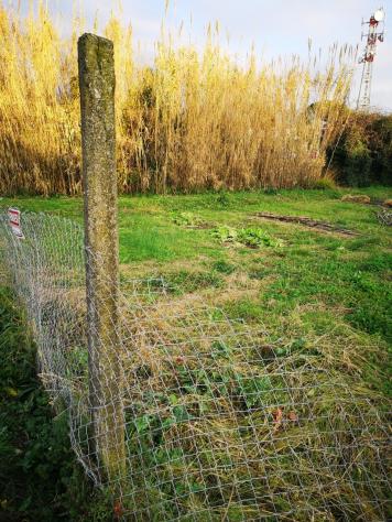 Agricolo in vendita a Castelnuovo Magra - Foto 3