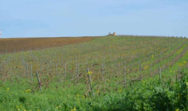 Immobile in asta di 24 m² in vendita a Trapani - Foto 5