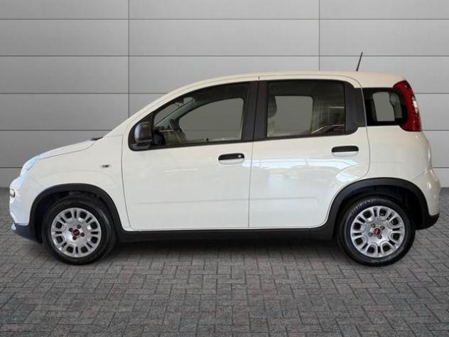 FIAT Panda 1.0 FireFly S&S Hybrid rif. 23919609 - Foto 2
