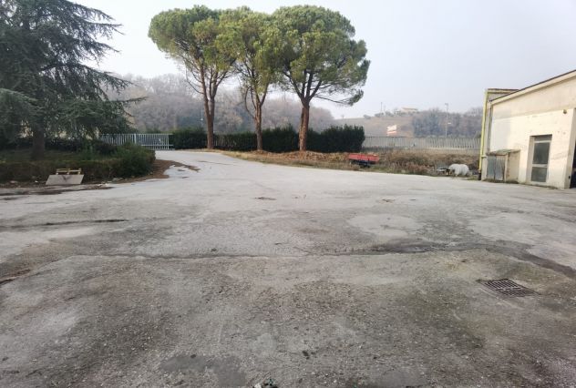 CAPANNONE 3.000 MQ TAVERNELLE (PU) - Foto 6