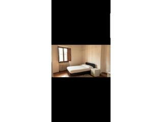 Affittasi  camera in appartamento
