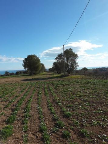 Agricolo in vendita a Cupra Marittima - Foto 14