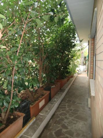 Casa di riposo Villa Rigacci - Foto 4