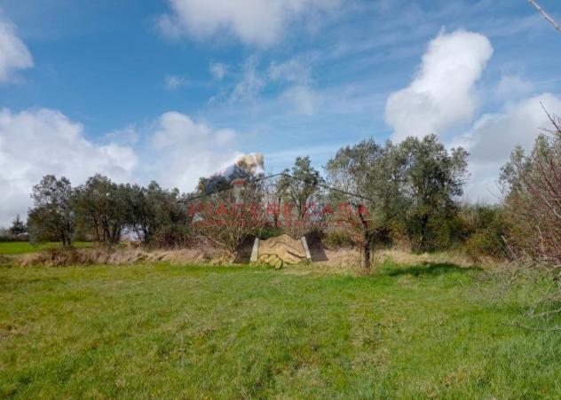 Orvieto - Casale completamente ristrutturato in classe energetica A con corte. - Foto 4