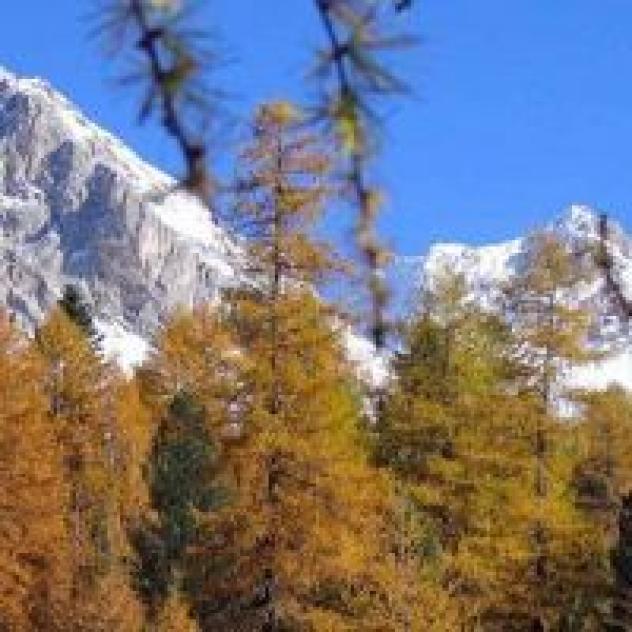 Union Hotels Canazei Campitello di Fassa - Foto 4