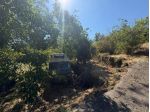 Frutteto in vendita a Piedimonte Etneo