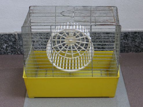 gabbie per animali - Foto 2