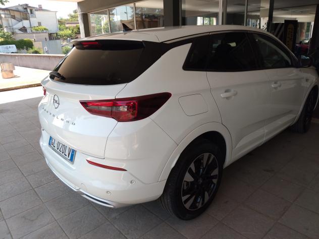 OPEL Grandland 1ª serie Grandland 1.5 diesel Ecotec aut. Business Elegance - Foto 10