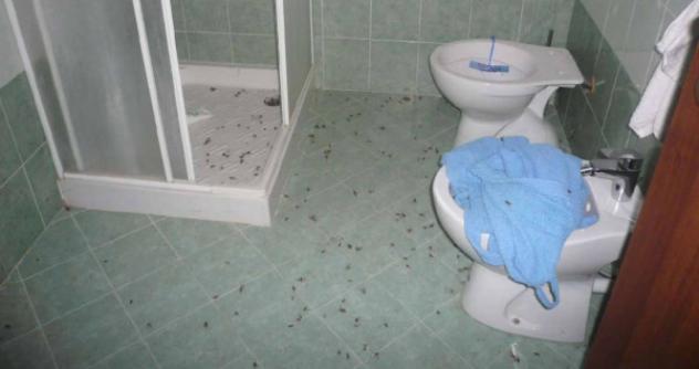Immobile in asta di 80 m² in vendita a San Colombano al Lambro - Foto 3