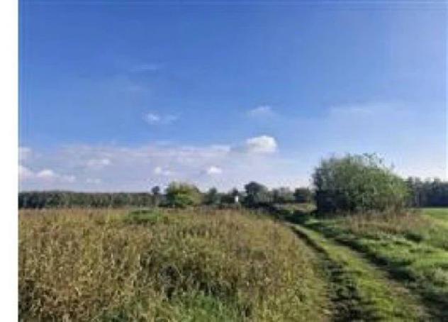 Immobile in asta di 347 m² in vendita a Castano Primo - Foto 12