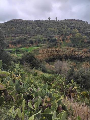 Rustico in vendita a Grammichele - Foto 7
