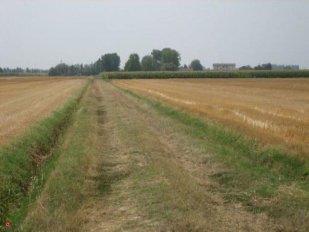 Terreno agricolo in Vendita in Via Carpi Ravarino 619 a Soliera - Foto 4
