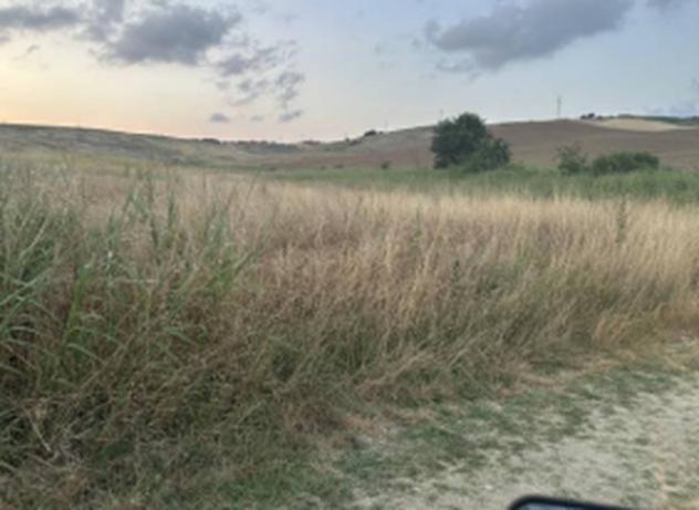 Immobile in asta di 57 m² in vendita a Tarquinia - Foto 6