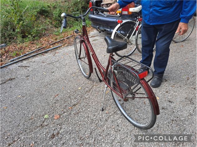 BICI DA DONNA GLOBUS ELEGANT - Foto 5