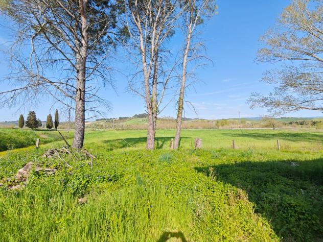 Casa singola in vendita a Lajatico 240 mq Rif: 1319724 - Foto 5