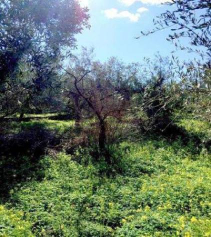 Immobile in asta di 146 m² con più di 5 locali e box auto in vendita a Lentini - Foto 5