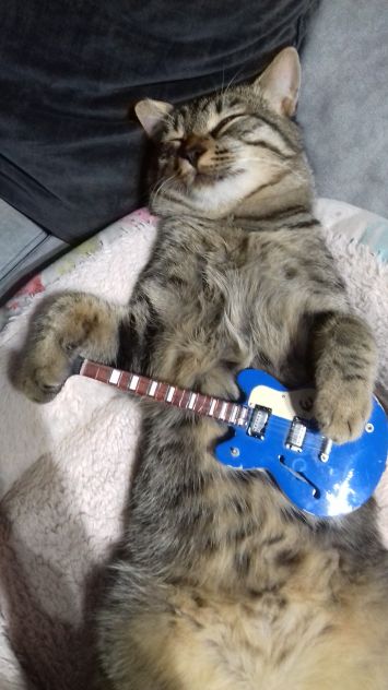 Lezioni di chitarra
