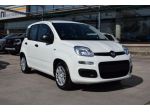 FIAT Panda 1.0 Firefly Hybrid Icon S&S 65cv 5p *Ruotino* rif. 23992247