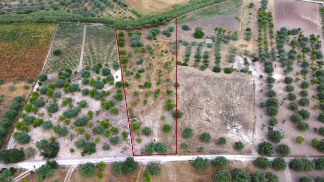 Terreno Agricolo - Noto . Rif.: Cod. rif 3321426VCG - Foto 3
