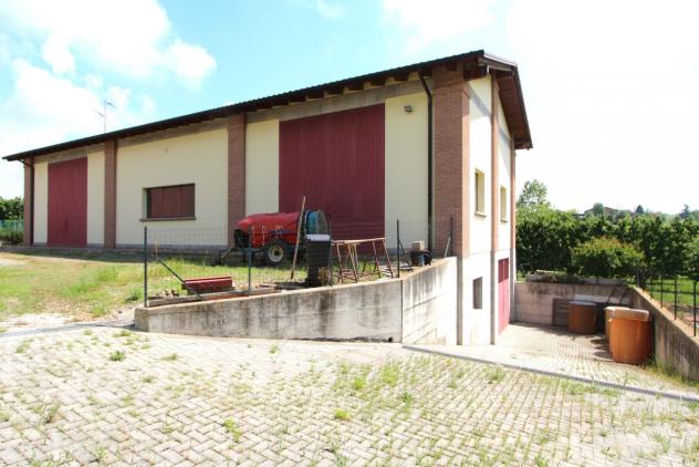 Vigneto in vendita a Valsamoggia - Foto 10