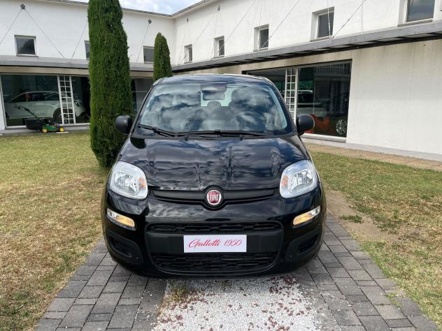 FIAT Panda 1.0 FireFly 70cv S&S Hybrid 5 posti - Foto 5