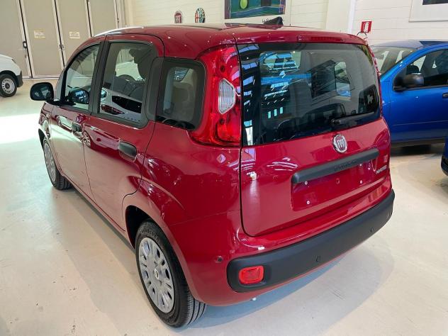 FIAT Panda 1.0 FireFly 70cv S&S Hybrid Icon - Foto 4