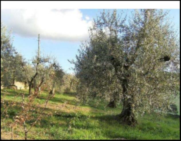 Immobile in asta di 165 m² in vendita a Civitella in Val di Chiana - Foto 20