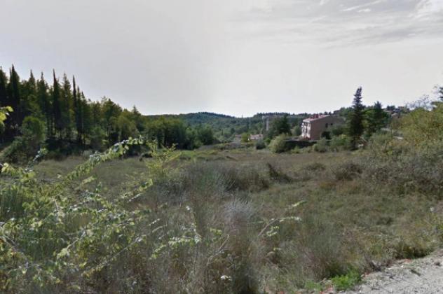Immobile in asta di 21873 m² in vendita a Castellina in Chianti - Foto 15