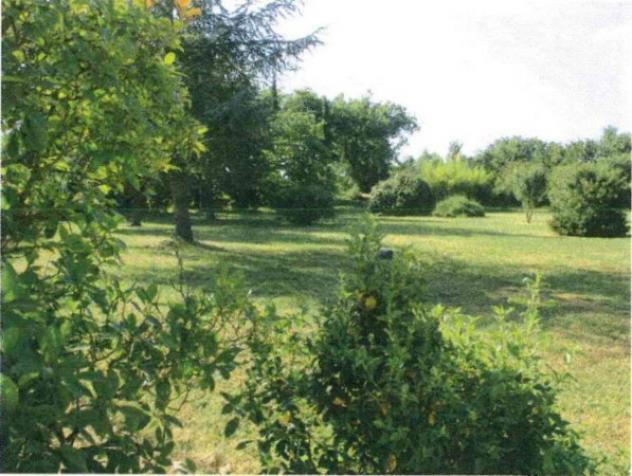 Immobile in asta di 594 m² in vendita a Sinalunga - Foto 7
