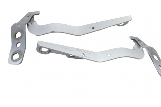 CERNIERE COFANO ANTERIORE DX E SX FORD Kuga Serie (DFK) LJ6B-S16800-AB (19) - Foto 15