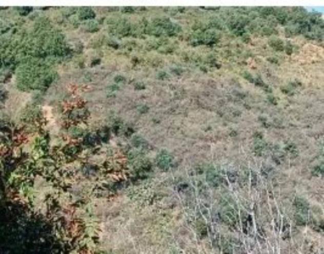 Immobile in asta di 5050 m² in vendita a Gioiosa Marea - Foto 2