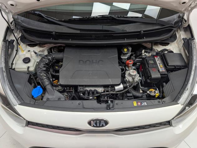 Kia Picanto Picanto 1.0 12V 5 porte Urban - Foto 10