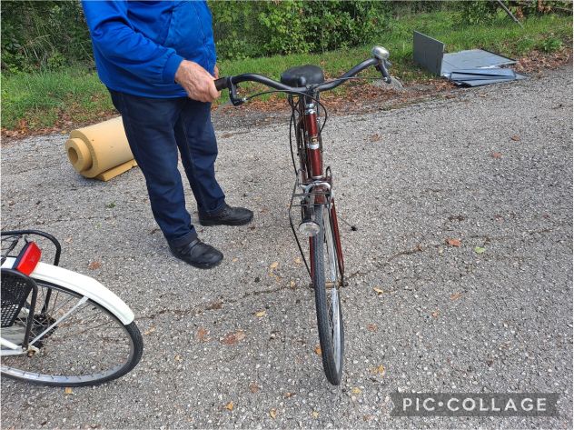 BICI DA DONNA GLOBUS ELEGANT - Foto 4