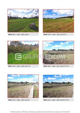 Fabbricati per attività agricole in vendita a Galatina - Rif. 4553054 - Foto 6