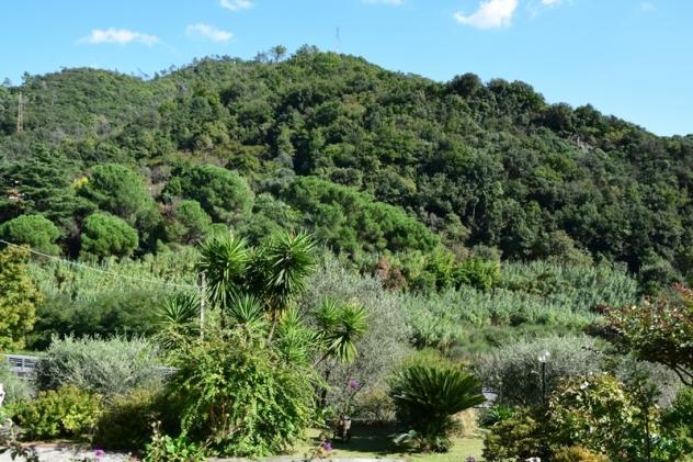 Villa in vendita a Albisola Superiore - Foto 10