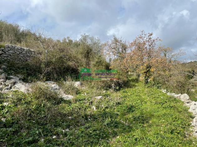 Rif.2331 - Rustici con Terreno agricolo edificabile al Mauto - Foto 5