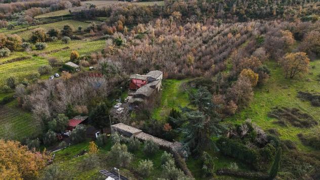 Terreno Edificabile in vendita a Randazzo, Montelaguardia - Foto 15