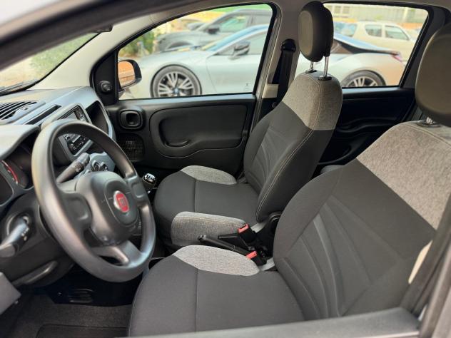 FIAT Panda Panda 1.0 hybrid 70cv CITY LIFE - Foto 9