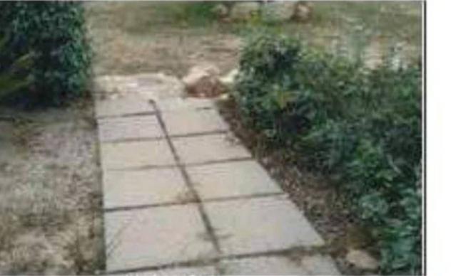 Immobile in asta di 34 m² in vendita a Trinità d'Agultu e Vignola - Foto 2