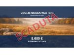 Immobile in asta di 2121 m² in vendita a Ceglie Messapica