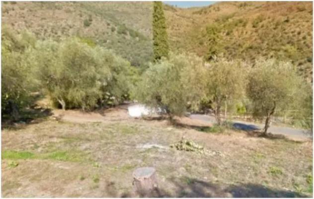 Immobile in asta di 2610 m² in vendita a Pietrabruna - Foto 3