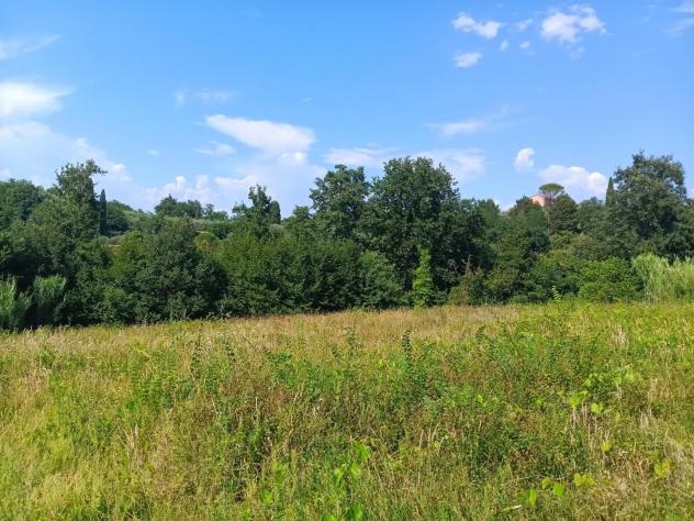 Terreno agricolo in vendita a Treggiaia - Pontedera 100000 mq Rif: 938474 - Foto 4